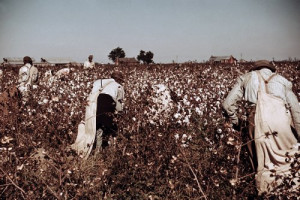 ... to a degree — “the Land of Cotton.” (Library of Congress