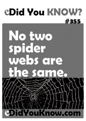 No two spider webs are the same.