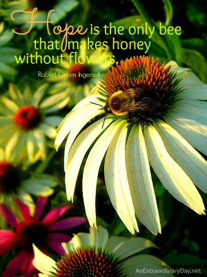 Honey Bee Quotes Hope is the only bee that