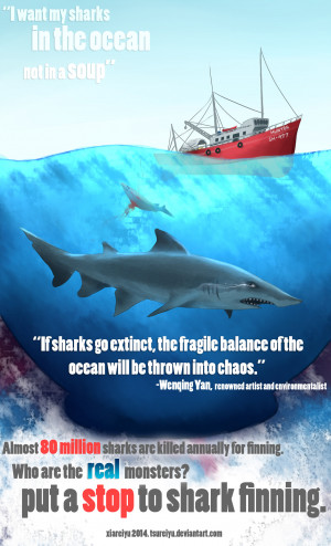 The Last Shark Poster Shark finning poster by