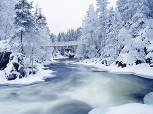 1600x1200 Frozen river and trees desktop PC and Mac wallpaper