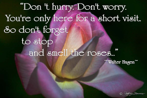 Home / Stop And Smell The Roses