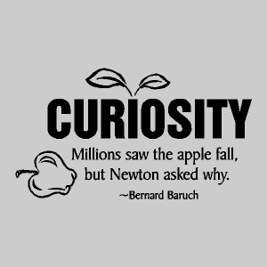 But why is curiosity so important?