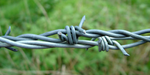 barbed wire fence repair elk grove village