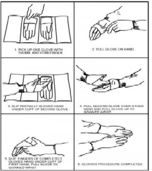 Stock Photo Nurse putting on sterile gloves stock image images