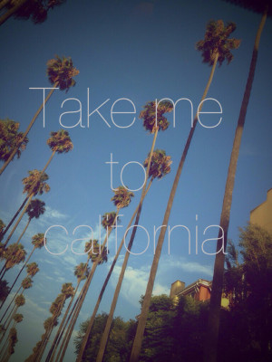 beach, california, hipster, indie, pale, palm trees, quote, sky ...