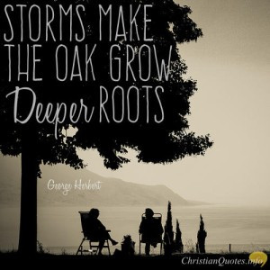 Helping Us Reach 3-5 Million People Per Week! Amazing!