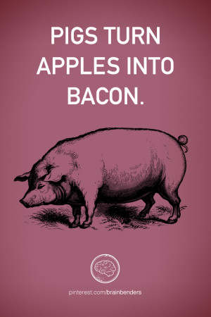 11 Mind Blowing Quotes