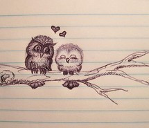 couple-cute-heart-love-owl-185875.jpg