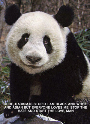 Funnies pictures about Panda Racial