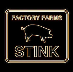 ... National Rifle Association.