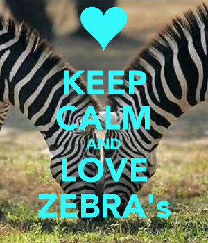 Keep Calm And Love Zebra Print