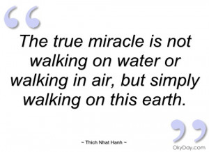 the true miracle is not walking on water thich nhat hanh