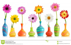 Colorful daisy flowers in bright vases isolated on white.