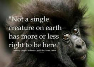 help save endangered species...we all need Help!