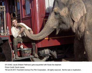 Water for Elephants' review: High-wire circus act