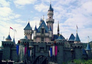 Cinderella Castle Along The