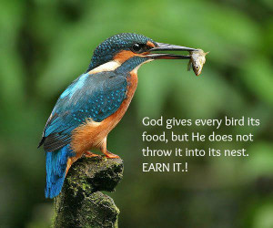 God gives every bird it's food, but He does not throw it into its nest ...