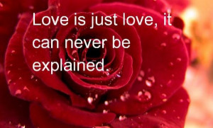 Honeymoon in Valentine Day Romantic Quotes