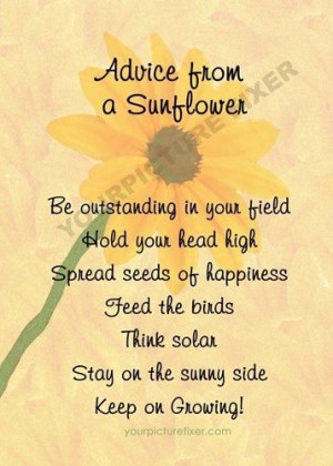 sunflower quotes | Advice from a sunflower.