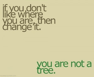 Via Suzie's Choices
