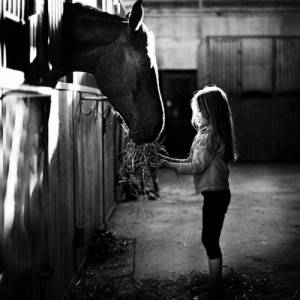 girls and horse, girls n horses, 1 girl 1 horse, girls and horse ...