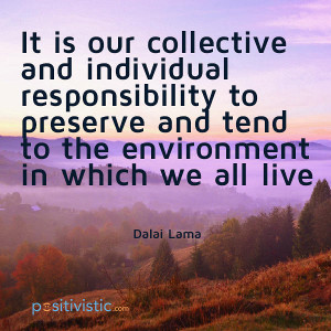 quote on preserving the environment: dalai lama responsability ...