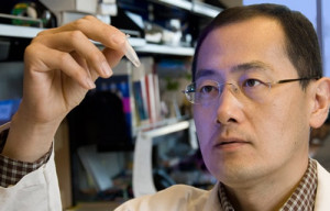 portrait of Shinya Yamanaka. Credit: Gladstone Institutes-Chris ...
