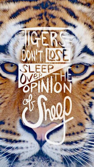 quote #wisdom Tigers don't lose sleep over the opinion of sheep.