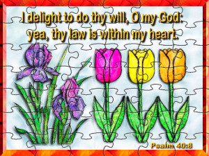 Cute Bible Verses With Background Bible verse backgrounds