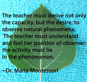 Montessori Quotes