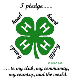 About 4-H