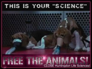 One Voice for Animal Rights Huntingdon Life Sciences (HLS) is the ...