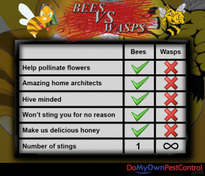 Funny Bees vs Wasps