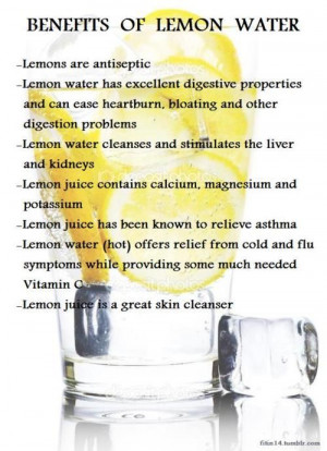 Benefits Of Lemon - Drink it all the time. Just started adding ...