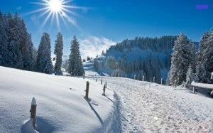 Beautiful winter scenery