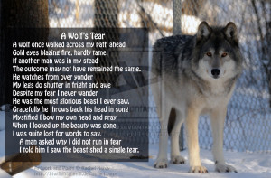 Wolf's Tear Poem by 8TwilightAngel8