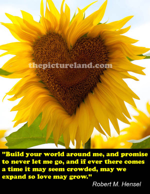 Sunflower Quotes And Sayings Love quotes and sayings
