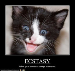 funny pictures kitten is too happy - Funny ass pics