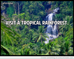 Visit A Tropical Rainforest