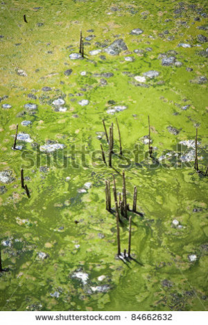 Drought Affected Cracked