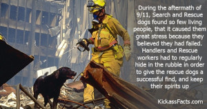 Rescue Dogs Couldn’t Handle The Loss Of Life & Hope During 9/11