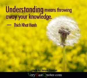 Understanding means throwing away your knowledge.