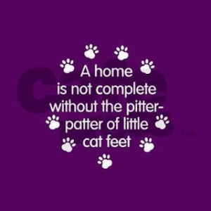 But they are cats and I love them.