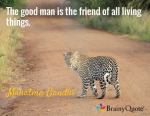 The good man is the friend of all living things. / Mahatma Gandhi