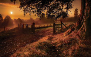 old-road-gate-farm-ranch-wallpaper-2560x1600.jpg