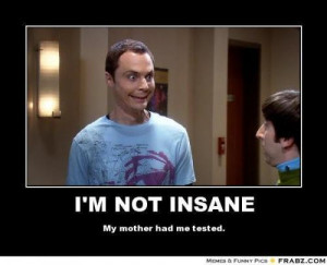 not insane, big bang theory Meme | Slapcaption.com
