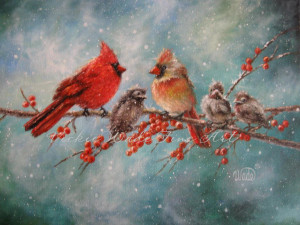 Winter Red Cardinal Bird
