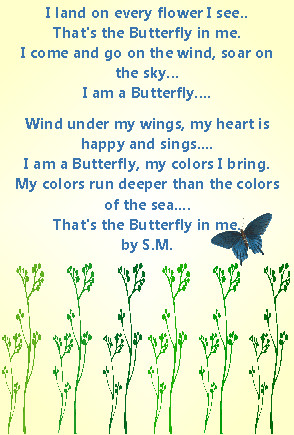 Poems & Quotes Finder