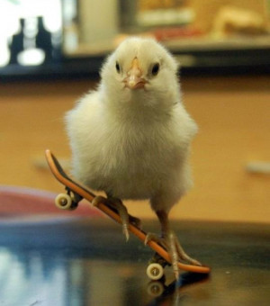 ... habit so you can start landing your skateboard tricks with confidence